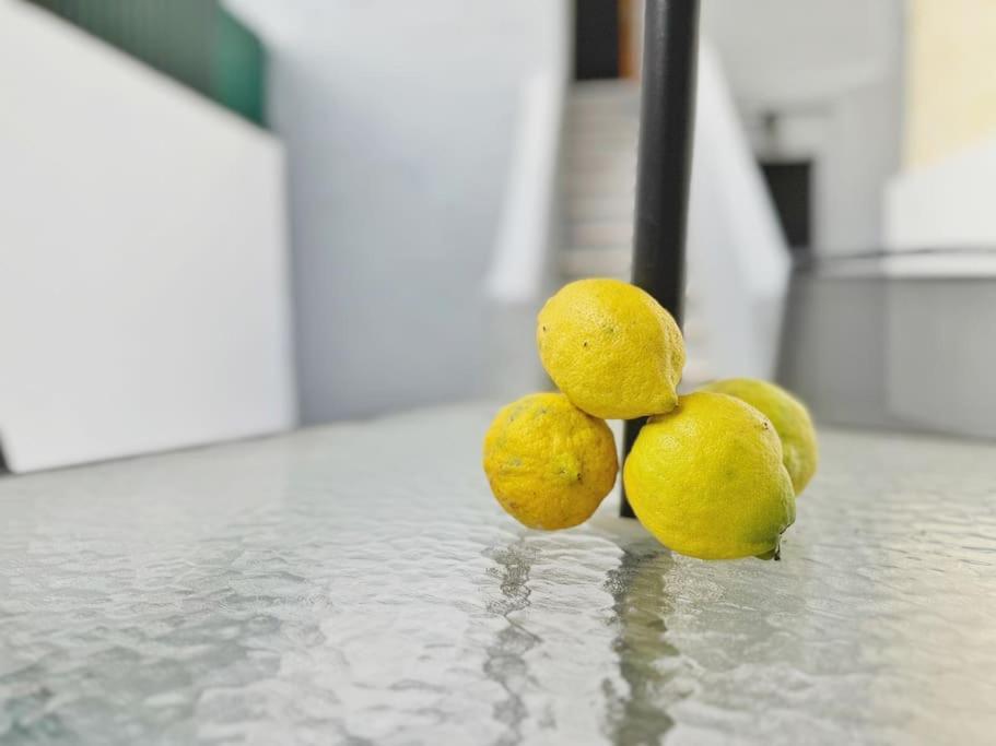 Lemon Tree With Patio Lejlighed Lisboa
